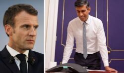 Sunak and Macron completely ignore Brexit in first call but promise Channel crackdown