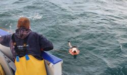 British kayaker stranded at sea survived for 12 days by eating seaweed and crabs