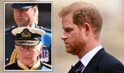 Prince Harry’s memoir could be ‘final torching’ of ‘bridges’ with Charles and William
