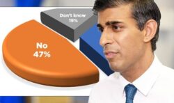 Sunak must ‘prove himself’ on Brexit as devastating poll shows Britons don’t trust new PM