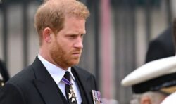 Prince Harry defended by GB News guest over controversial memoir – ‘His time to shine’