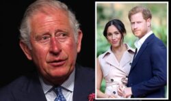 Harry and Meghan to snub King’s Christmas invite – Royal Family relations at ‘rock bottom’