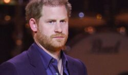 Prince Harry accused of ‘brazenly monetising grief’ after release of details about book