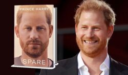 Harry’s book ‘bound to distress’ Royal Family as Prince to ‘open up about his childhood’