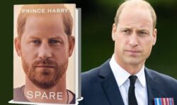 William ‘has barely spoken to’ Harry since announcement of bombshell memoir Spare