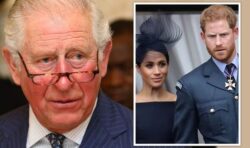 Royal Family LIVE: King may axe Harry and Meghan’s titles as punishment for ‘going rogue’