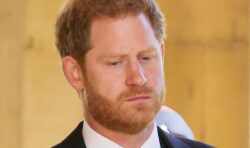 Prince Harry feared he ‘had to sex up’ memoir after ‘touchy-feely’ first draft rejected