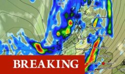 Met Office issues new yellow weather warning as fierce 65mph winds set to smash Britain