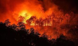 Climate emergency now at ‘code red’ say scientists calling for urgent action