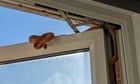 Snake on a pane: reptile tries to enter through bedroom window in Essex