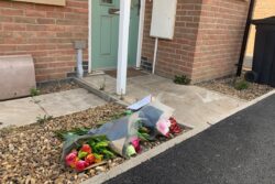 Suspect denies manslaughter of woman who was hit by car