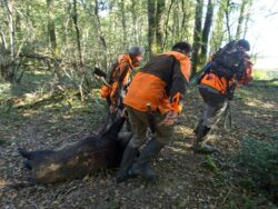 ‘Devastated’ partner of British woman shot dead during boar hunt in France under probe