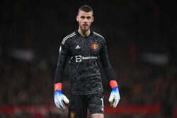 David de Gea misses out on Spain World Cup squad as Brighton and Brentford stars beat him to it