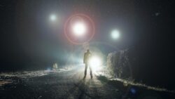 Revealed: which US states have seen the most UFOs