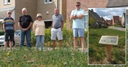 Residents who complained about ‘jungle’ are now unhappy after it was cut