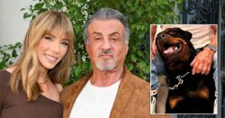 Sylvester Stallone and wife Jennifer Flavin ‘keeping rottweiler’ as they reconcile following split