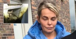 Breeder found with 90 dogs and decomposing puppies in ‘horrendous conditions’