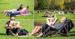 People are sunbathing like it’s summer and not nearly November