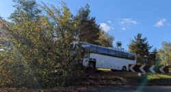 School bus crashed into tree leaving four pupils and driver in hospital