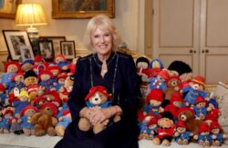 Camilla poses with dozens of bears in new picture released by Buckingham Palace