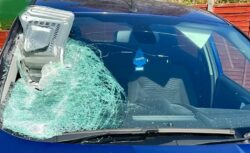 Boy, 15, and man arrested after microwave hurled through car windscreen