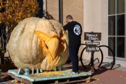 The largest pumpkin in American history is being carved into an eagle