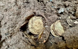 Couple find gold coins under their kitchen floor and sell them for £754,000