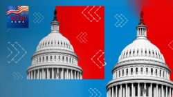 US midterms 2022 - What is the Senate? And how is it different from the House of Representatives?