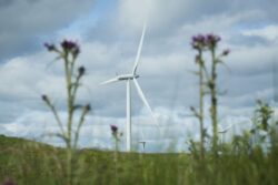 New cap on renewable energy revenue not a windfall tax, says Rees-Mogg