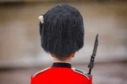 Peta threatens MoD with legal action in row over King’s Guards’ bearskin caps