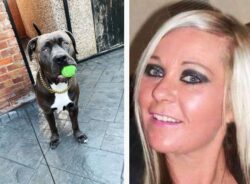 Mum of woman killed by own dog 'as big as a lion' begged her to get rid of pet