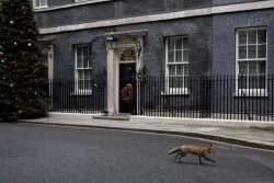 Rishi Sunak and family move back into No10 flat