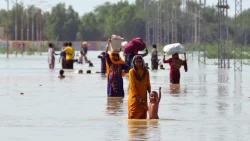 Pakistani PM says he should not have to beg for help after catastrophic floods
