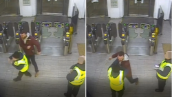 Drunken thug who attacked train guard after losing ticket sentenced to jail