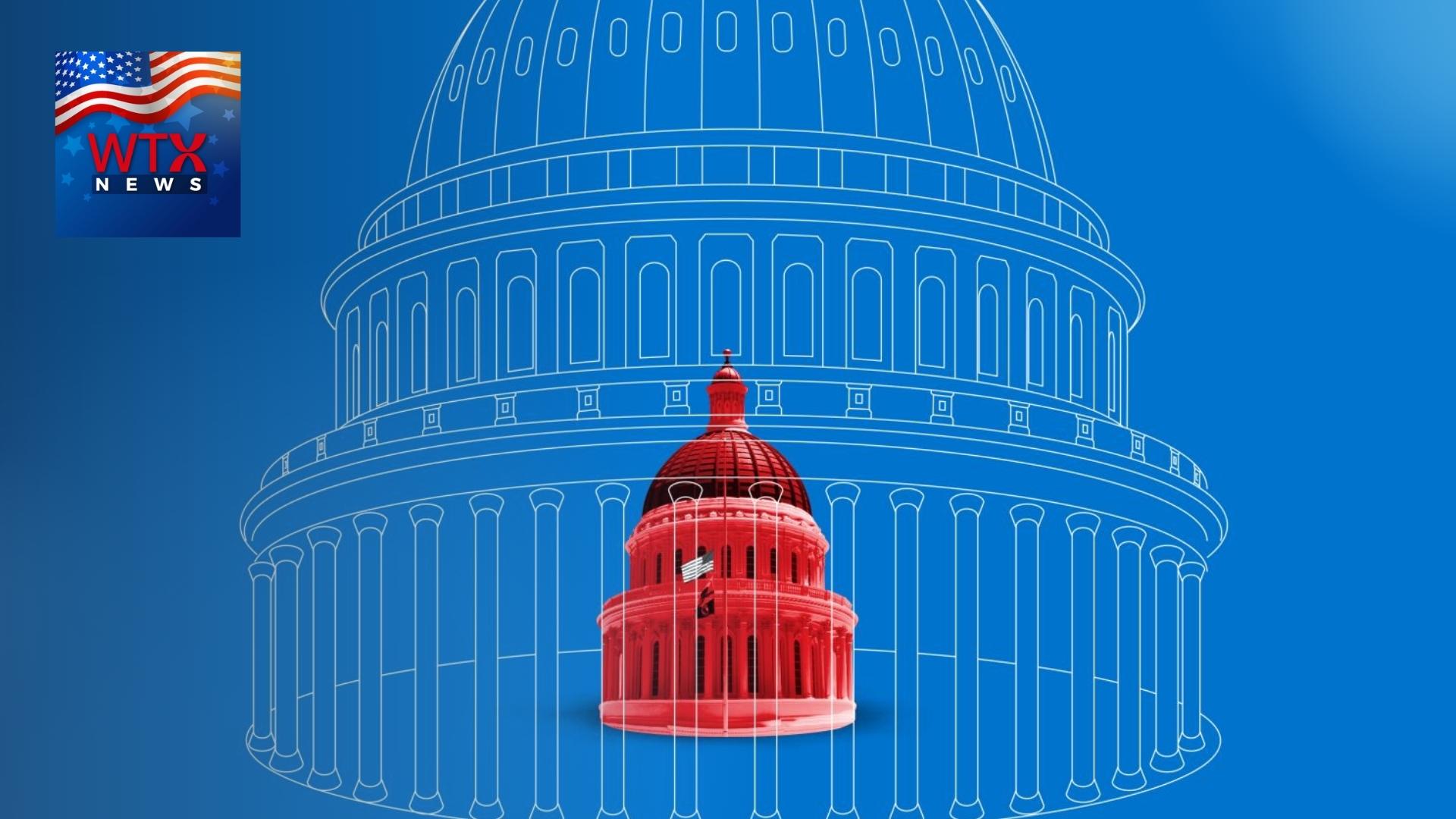 2022 midterm election: understanding the jargon 