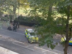 ‘Knifeman’ tasered and arrested by armed police near Parliament