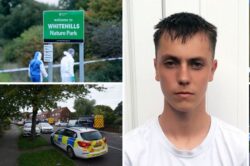 Boy, 14, charged with murder of teenager in Gateshead