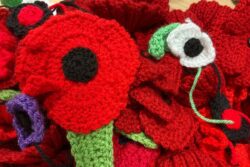 Hundreds of knitted poppies to grace buildings of hospital trust