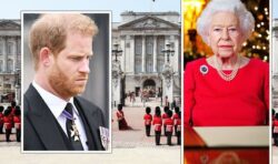 Royal Family LIVE: Harry poised to ‘trample on people’ but ‘will stay loving’ to Queen