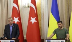 Erdogan plays mediator and stresses the importance of Ukrainian grain import deal