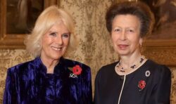 Queen Consort Camilla and Princess Anne hint at ‘bonding’ in stunning new royal photo