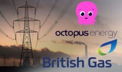 British Gas and Octopus Energy join new scheme to slash bills and prevent winter blackouts