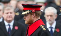 Royal Family LIVE: Harry and Andrew’s remembrance wreaths dumped from public display