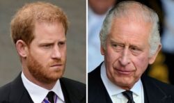 Prince Harry’s bombshell book ‘risks serious blowback’ from royals, Omid Scobie says