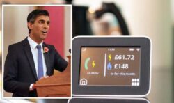 Rishi handed ‘simple solution’ to slash energy bills by £660 while saving taxpayer funds