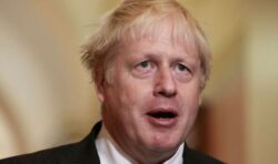 New York-born Boris a US favourite: Exclusive poll has him as popular pick for president