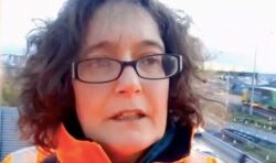 Just Stop Oil activist defends M25 shutdown saying eco-warriors ‘take action to survive’