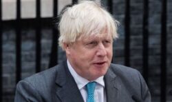 Boris Johnson resignation honours set to cost Britons eye-watering £559,000 a year