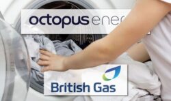 British Gas, Octopus Energy, SSE, and E.ON to pay customers to do washing at night