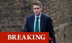 Gavin Williamson’s disgruntled colleagues planned to ‘stamp’ his pet tarantula to death